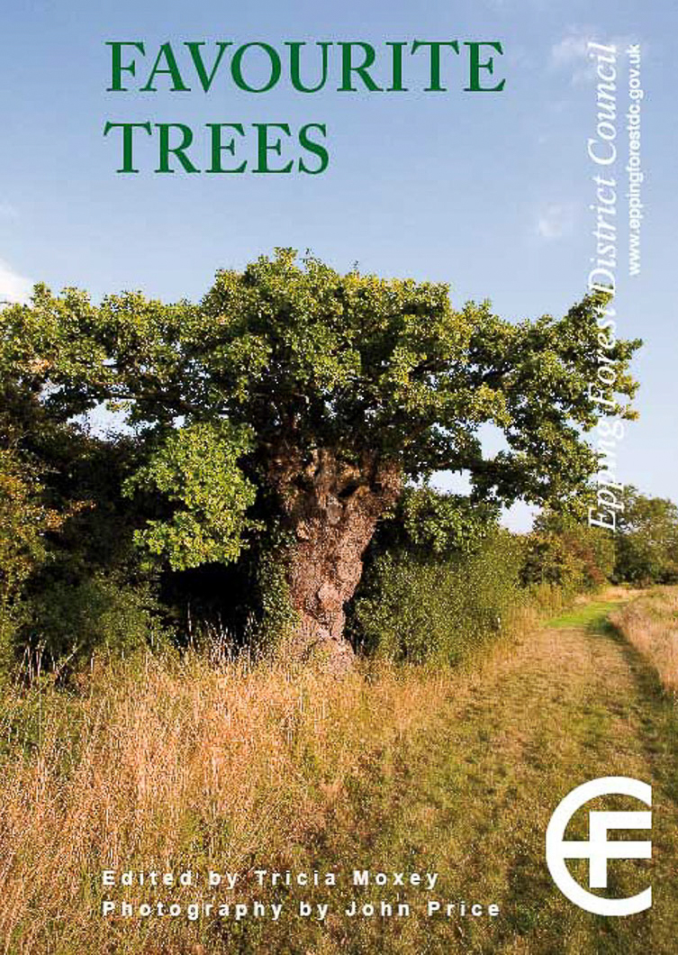 Open photobook with tree photography